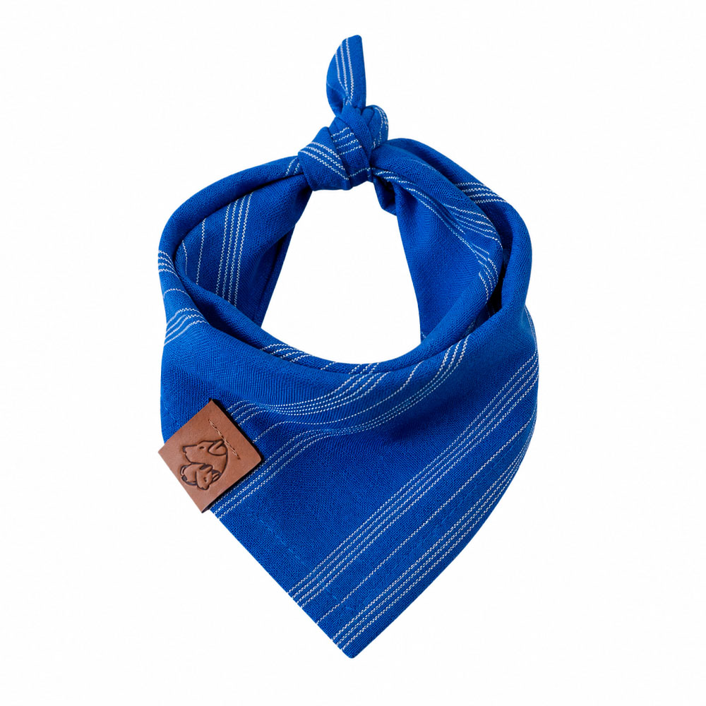 Bandana Pet Personalizada