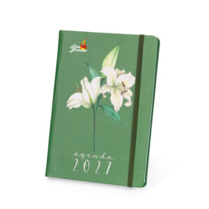 Agenda Diária 2027 Personalizada